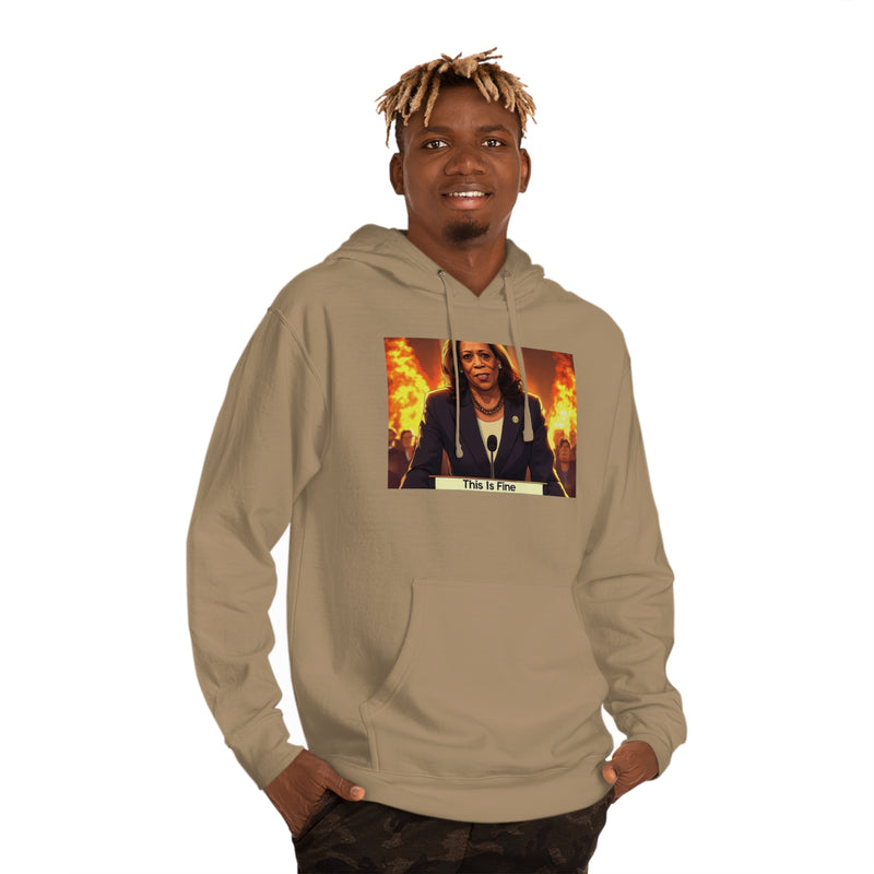 "This is fine" Printed Sweatshirts Hoodie Long Sleeve Sweaters | Cool Print Sweatshirt for Unisex